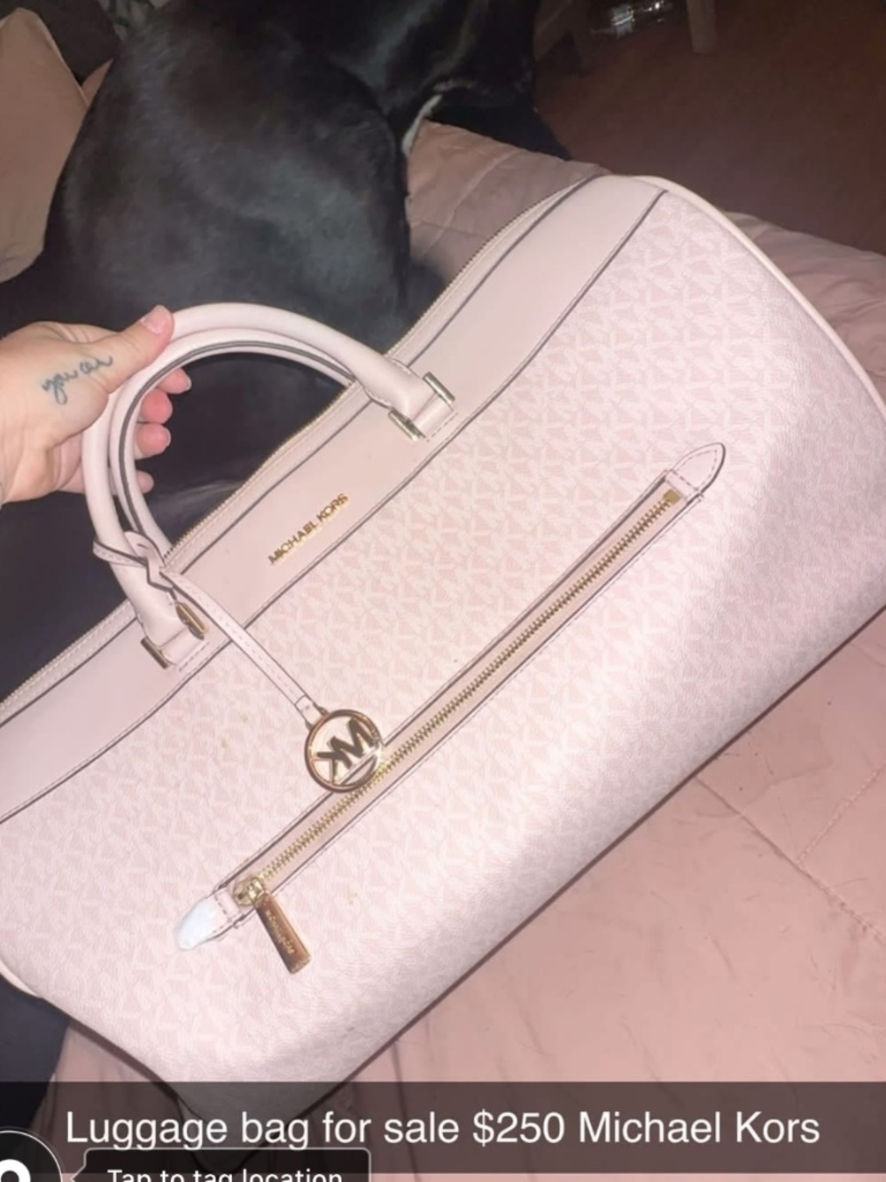 Michael kors luggage bag